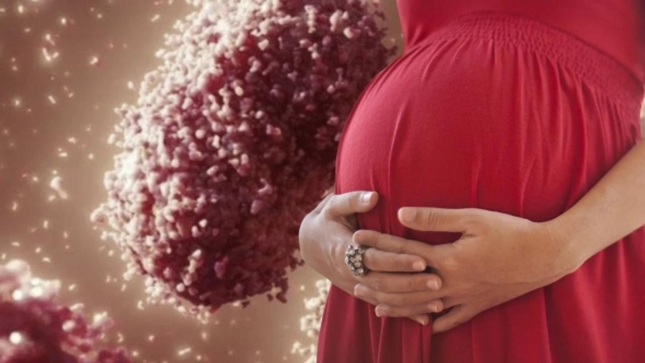 Dikkat: Hamilelere 'maymun çiçeği virüsü' uyarısı
