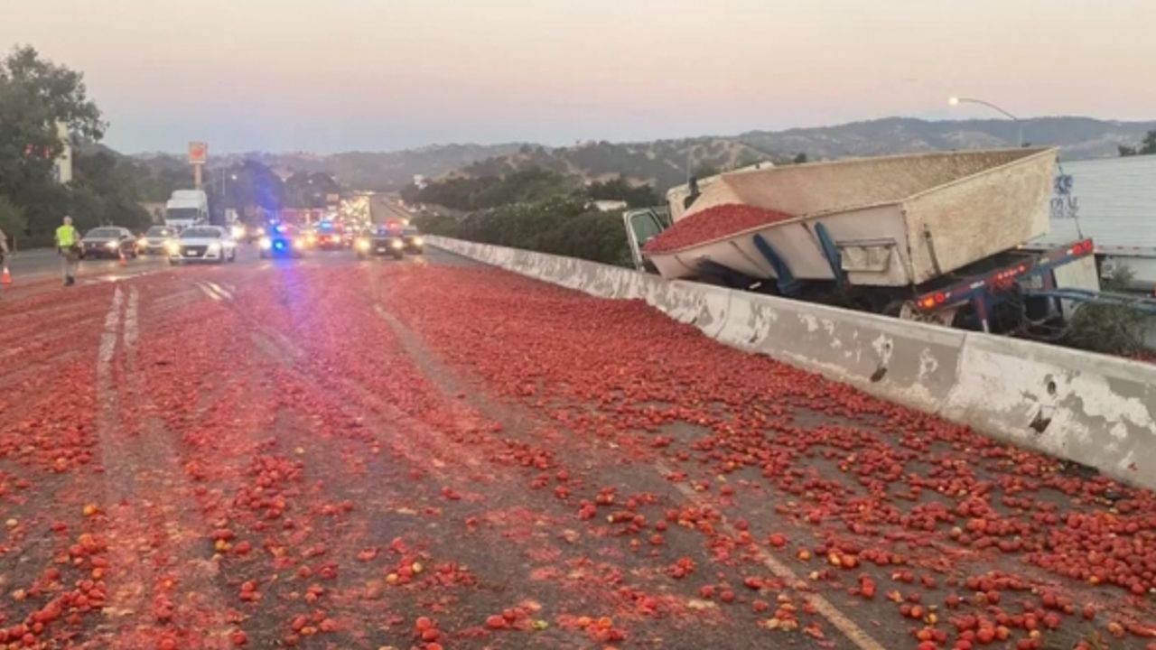 150 binden fazla domates yola döküldü: Zincirleme kaza yaşandı