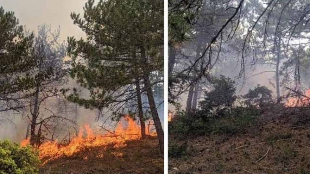 Eskişehir’de yıldırımın düştüğü ormanda yangın çıktı