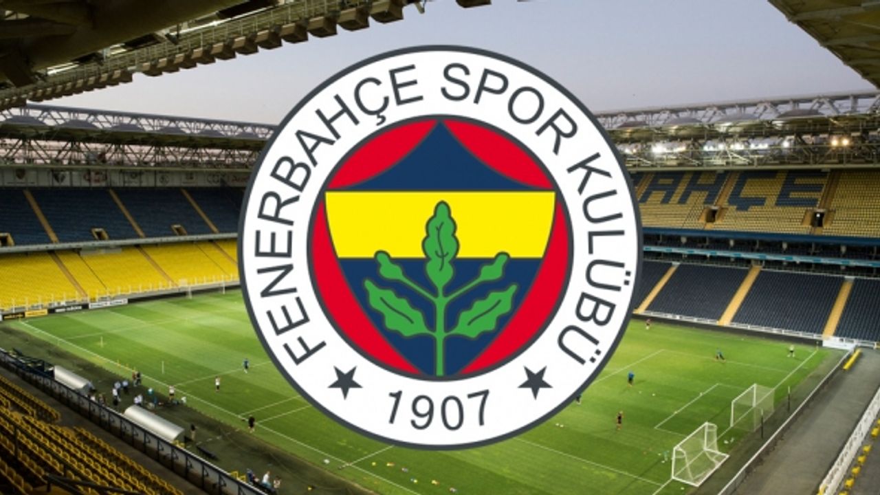 Fenerbahçe'de yeni transfer geldiği gibi gitti!