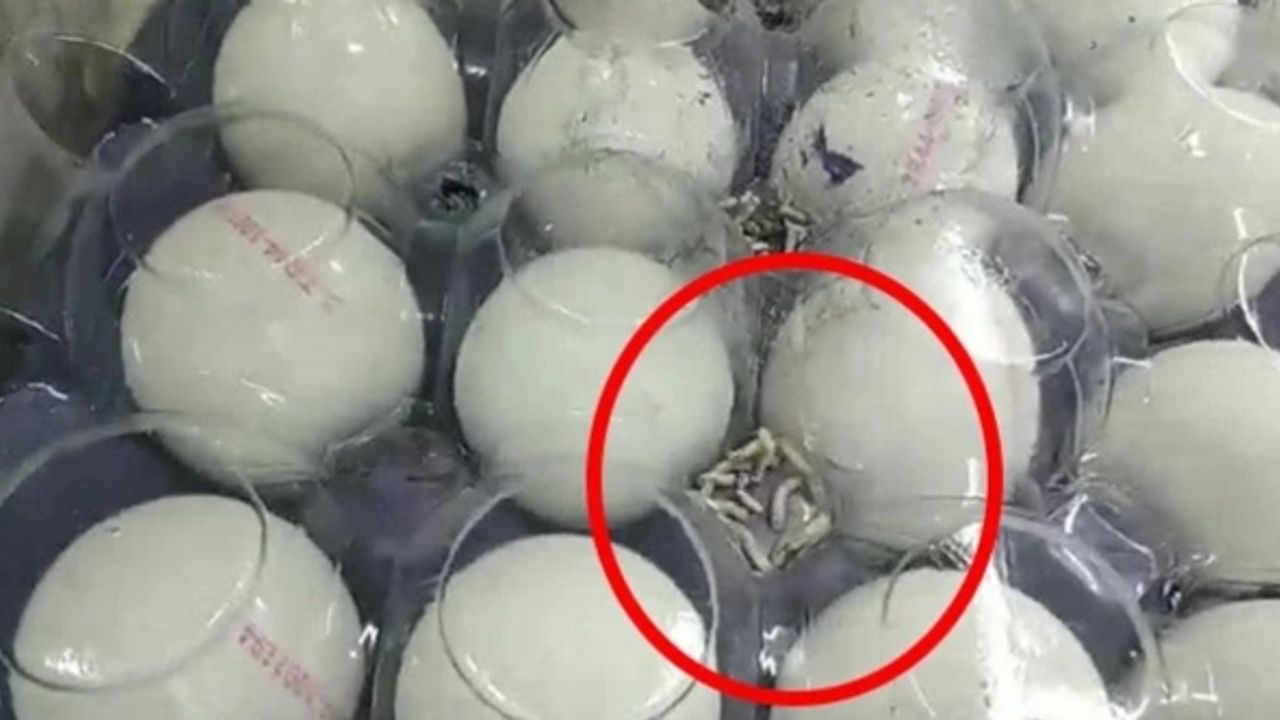 A101'de skandallar bitmiyor: Mide bulandıran görüntüler