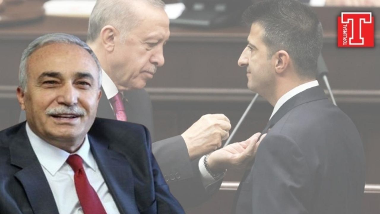 AKP'de Ahmet Eşref Fakıbaba şoku: Mehmet Ali Çelebi'de kurtaramadı, o koltuk gitti!