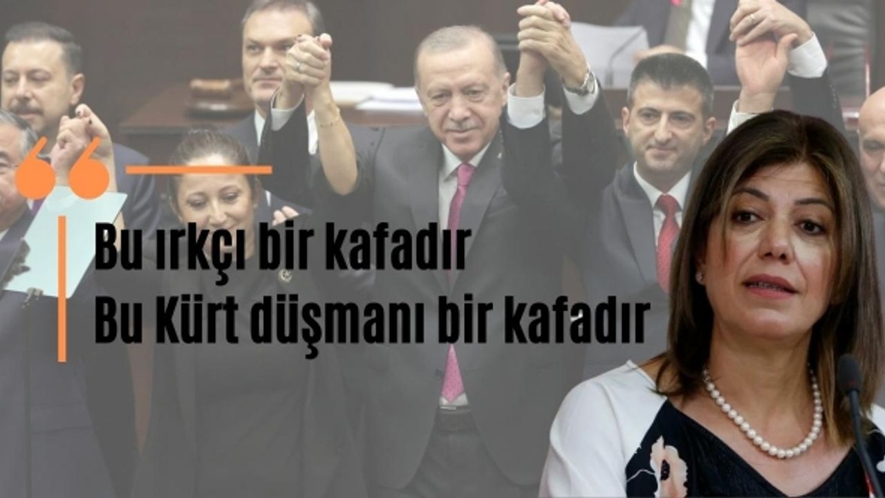 HDP’li Beştaş’tan Erdoğan’ın 'PKK’nın 5 tane 10 tane çocuğu var' sözlerine tepki