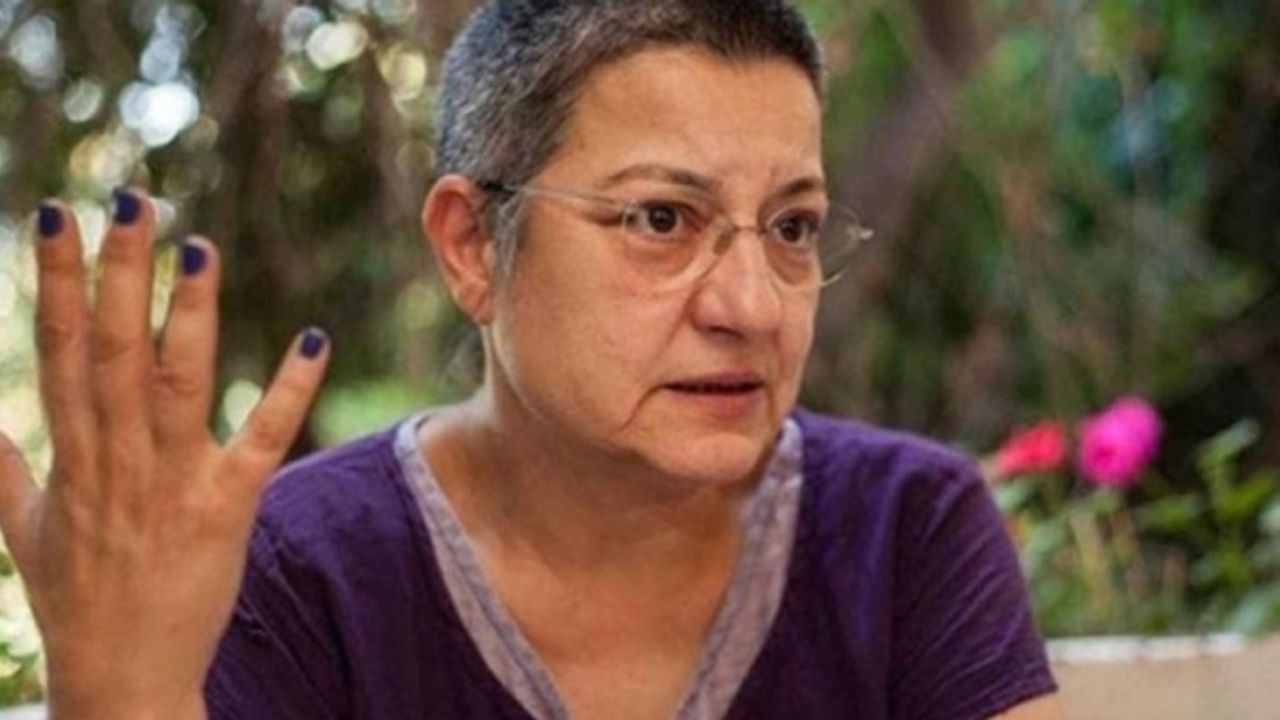 TTB Başkanı  Şebnem Korur Fincancı'nın ifadesi ortaya çıktı