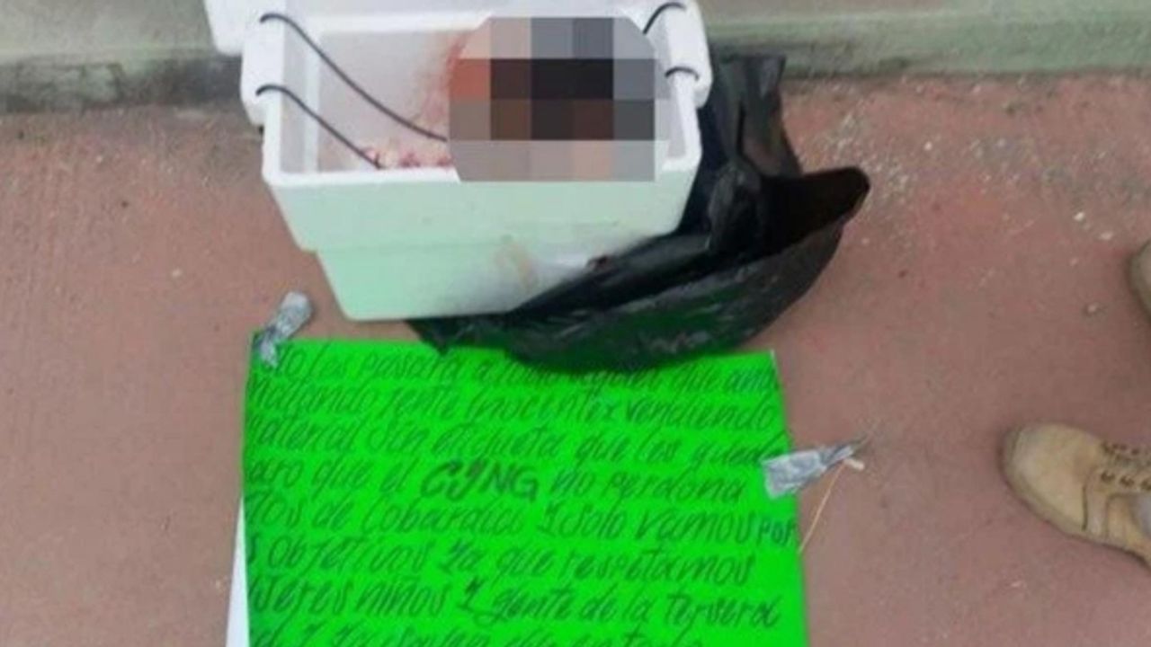 Yurtaşlar dehşet içinde kaldı: Bu görüntüler infial yarattı