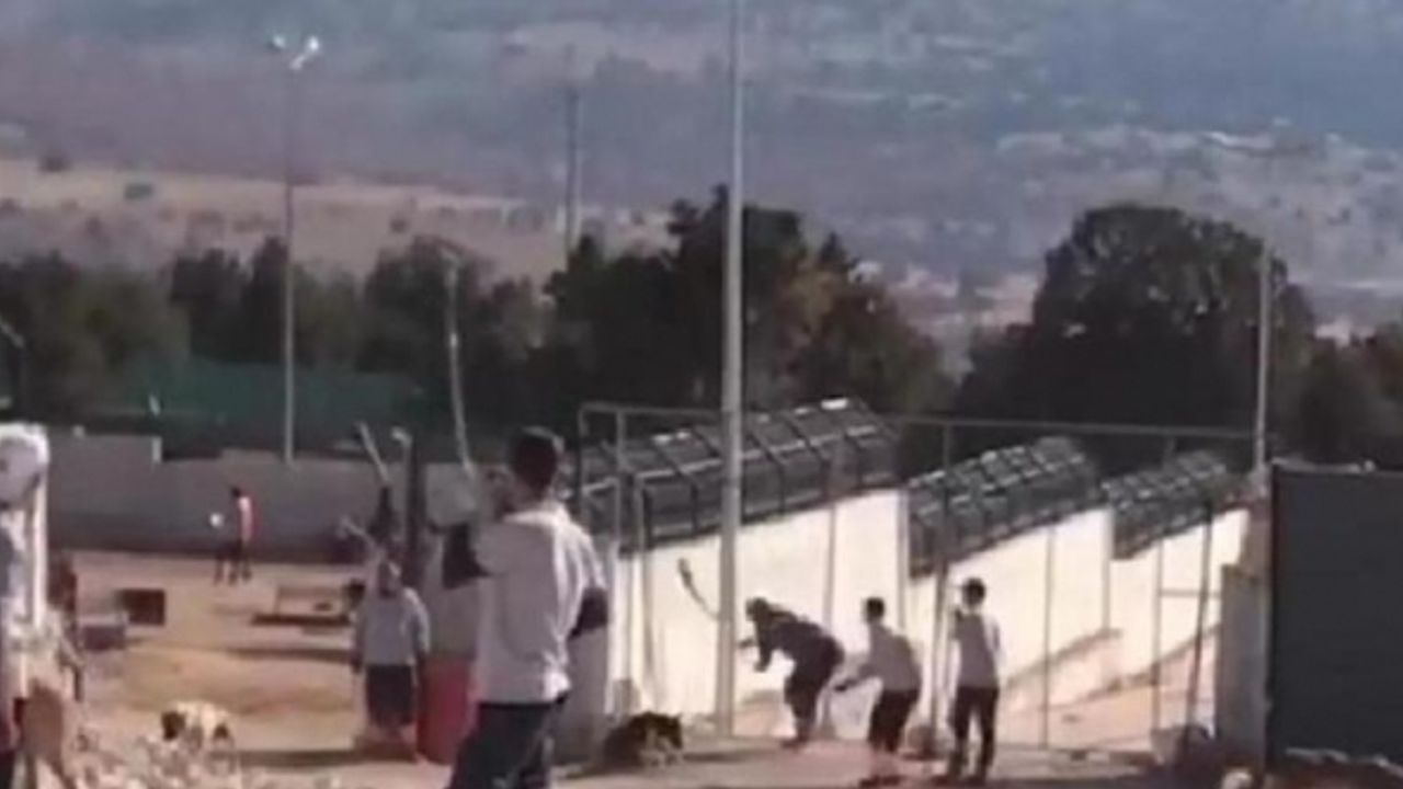 Konya'da köpekleri işkenceyle öldüren zanlıların ifadeleri ortaya çıktı