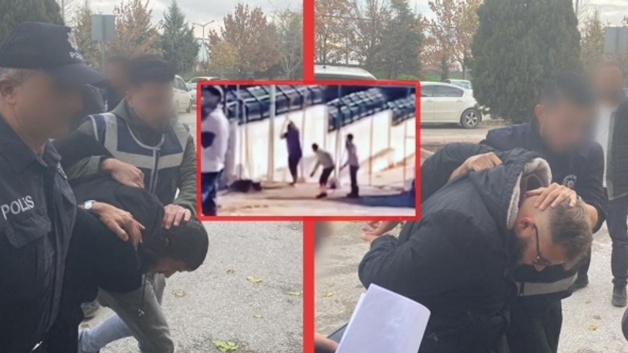 Konya'daki  hayvan katliamında yeni gelişme: Tutuklandılar