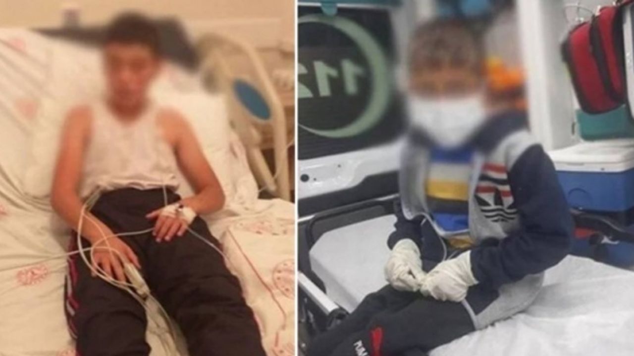 Türkiye'nin konuştuğu kuduz vakasında yeni detaylar: Babaanne, olay gününü anlattı