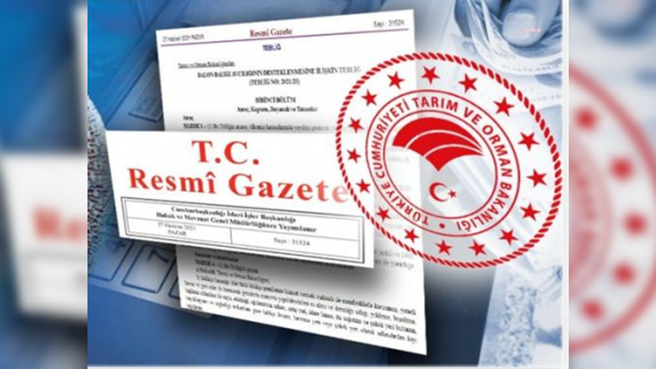 Deprem bölgesinde işten çıkarma yasağı ve kısa çalışma ödeneği