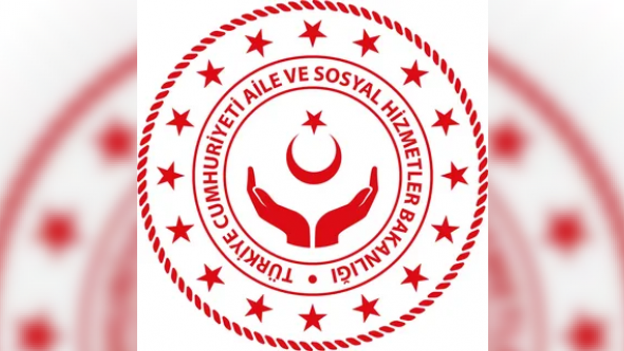 Kaç kişi 'koruyucu aile başvurusu yaptı?