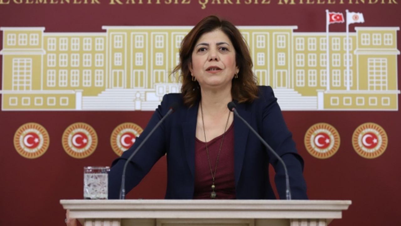 Meral Danış Beştaş: Bu geriye gidişe asla Türkiye toplumu, halkları izin vermeyecek