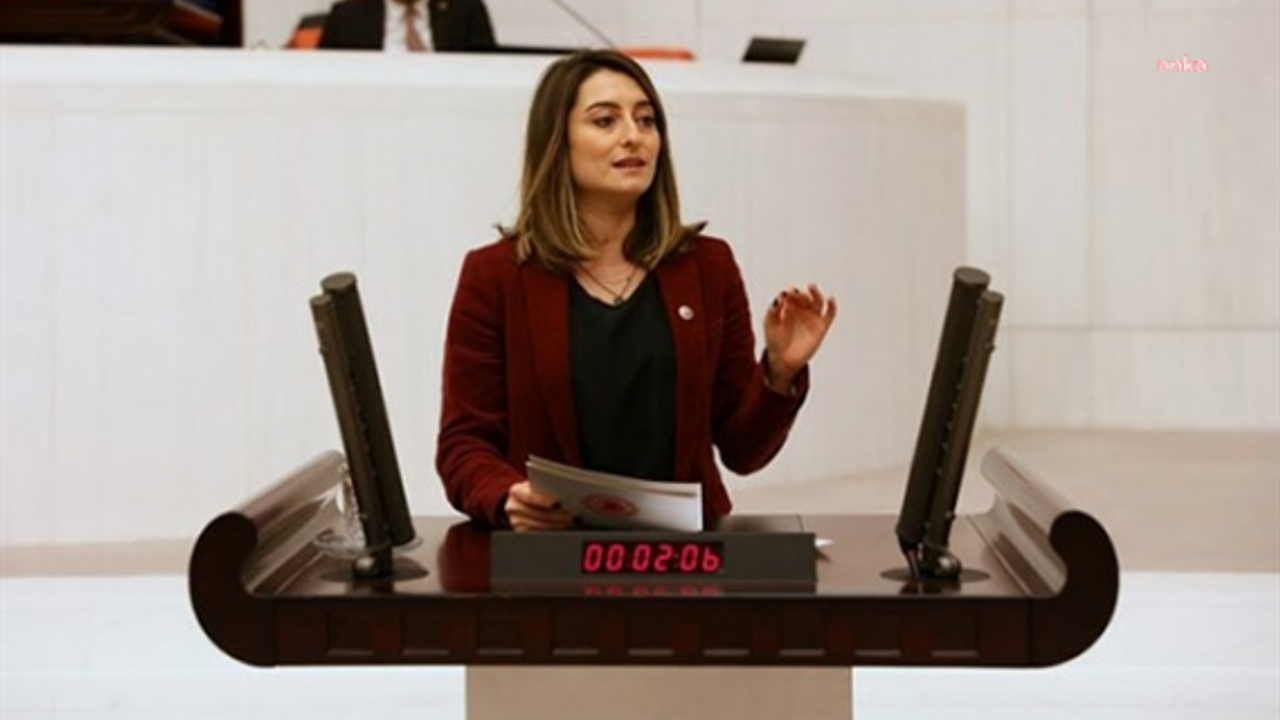 Aysu Bankoğlu: "Yurttaşını ayıran saygısız kafalar!"