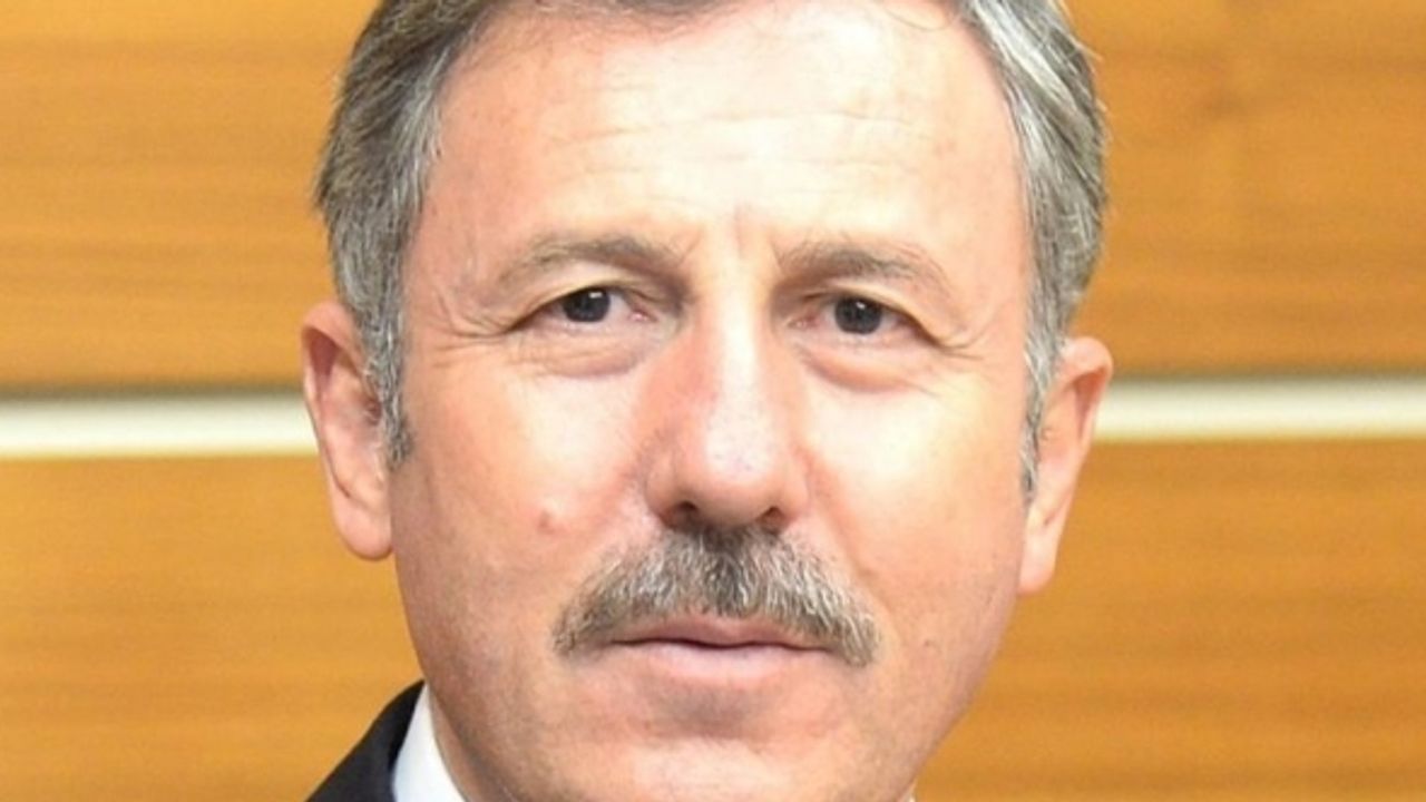 Selçuk Özdağ: "Enseyi karartmaya gerek yok"