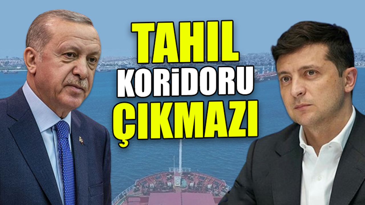 Erdoğan, Zelenskiy ile görüştü