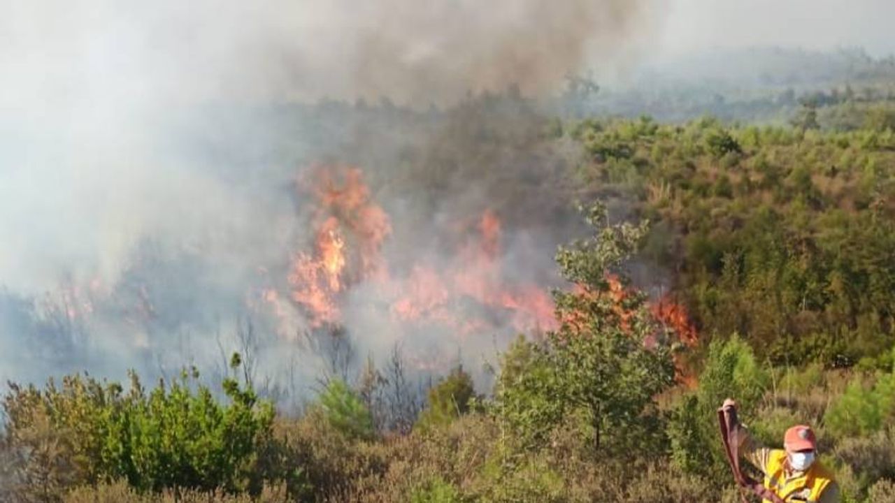Burdur'da orman yangını