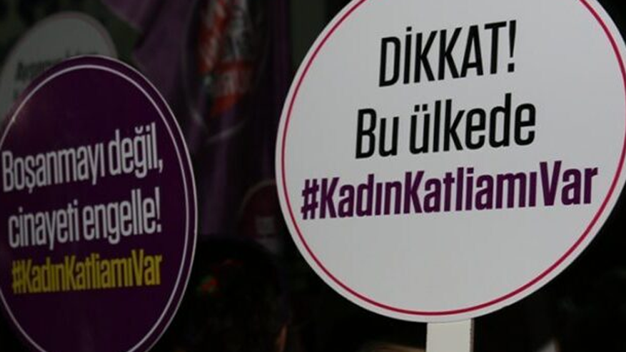 Temmuz ayında Türkiye'de 25 kadın vahşice katledildi