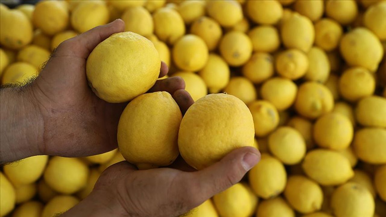 Limon tozu neyden yapılır?