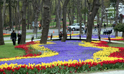 İstanbul boğazının bayram ve bahar rotaları