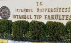 40 bin lira ödeyen yabancılara Tıp diploması! Üstelik taksitle