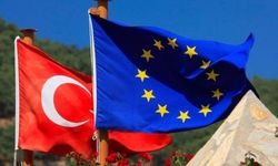 AB anketi: Türkiye'ye en olumlu ve en olumsuz bakan ülkeler