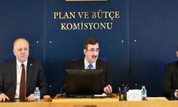 AKP'li Komisyon Başkanı 'sürtük' ifadesi için özür istedi