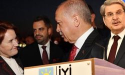 Aytun Çıray'dan flaş açıklama: Akşener, Erdoğan’ın adaylığının önünü açacak