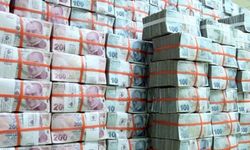Devletin malı deniz: 7 ilde 130 milyon TL'lik özelleştirme