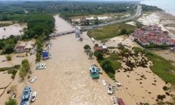 Düzce'de sel: Yüz binlerce civciv öldü