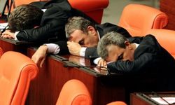 Erdoğan, zam  ister de milletvekilleri durur mu: İşte zamlı vekil maaşları