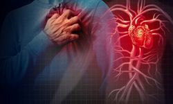 Kalp krizini iyileştirebilecek yeni yöntem keşfedildi