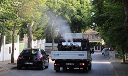 Kartal’da vektörle mücadele ve ilaçlama hizmetleri devam ediyor