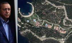 Marmaris'te alevler Erdoğan'ın Yazlık Sarayı'na yaklaştı