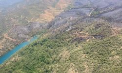 Marmaris yangınında son durum: Datça-Marmaris karayolu trafiğe kapatıldı