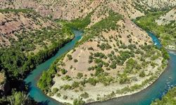 Tunceli’de ormanlara giriş yasaklandı