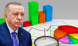 Yandaş yazar 'farklı' bir anket sonucu paylaştı