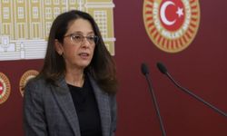 HDP'li Ersoy, 'ölüm gemisi'ni Meclis gündemine taşıdı