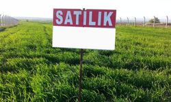 Belediye başkanı dolandırıcılara karşı uyardı: Arsa satın almak isteyenler dikkat