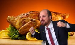 Bilal Erdoğan tavukçu oldu