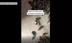 BİM'de çekirdek pakedinden çıkan şey şok etti