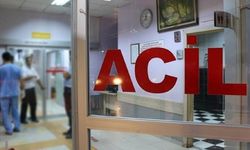 Bolu'da aralarında çocukların da 71 kişi hastanelik oldu