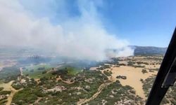 Çanakkale'de orman yangını