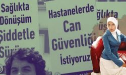 Erdoğan'ın danışmanı arkadaşlarının ölümü sonrası iş bırakan doktorları hedef aldı