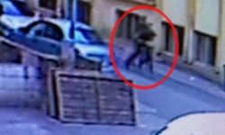 Eşini kaçırdı, barakaya kapattı, başına köpek bağladı: İyi hal indirimi aldı