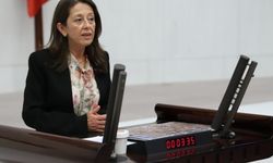 HDP’li Ersoy: Sağlık Bakanlığı, kanser vakalarının arttığı bölgelerde kanser taraması yapıyor mu?