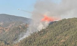 Marmaris'te orman yangını: İşte AKP'nin hurda deyip yok etmeye çalıştığı uçaklar