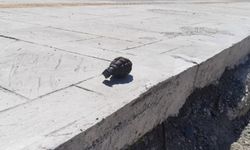 Samsun'da bir evin bahçesinde el bombası bulundu!