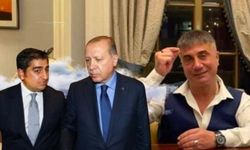 Sedat Peker işaret etmişti: AKP'ye kötü haber geldi