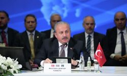 Şentop'tan 'Zaho' yorumu: Teröristlerin yapma ihtimali yüksek