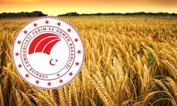 Tarım ve Orman Bakanlığı’ndan 'Venezuela’da kiralık arazi' açıklaması