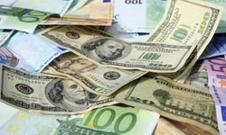 Ünlü iktisatçıdan euro/dolar kurunun eşitlenmesiyle ilgili çarpıcı değerlendirme